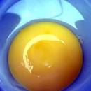 Jak przygotować maseczkę z żółtka na twarz?