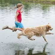 Jak pomóc futrzakom przetrwać lato?