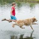 Jak pomóc futrzakom przetrwać lato?