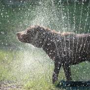 Jak przetrwać lato?