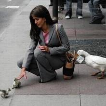 Jak chronić się przed kieszonkowcami?
