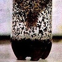 Zbuduj pułapkę na komary