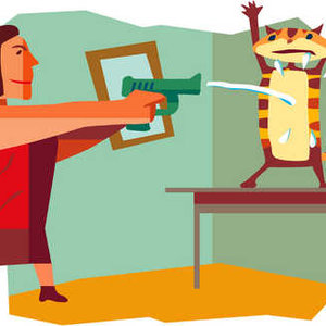 Spryskiwanie kota wodą