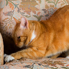 Reakcja musi być natychmiastowa