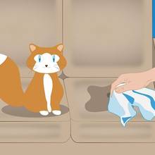 Jak usunąć zapach kociego moczu z kanapy?