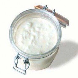 Kefir