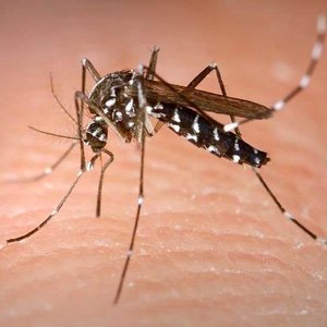 Po pierwsze, nie drap