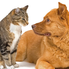 Kontrola jest konieczna