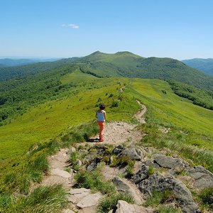 Źródełko w Zwierzyniu
