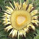 Co warto zobaczyć, będąc w Korzecku?