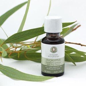 Olejek eukaliptusowym