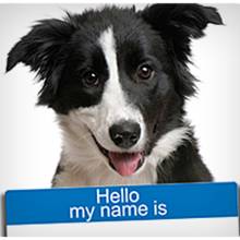 Jak wybrać odpowiednie imię dla psa?