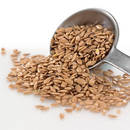 Właściwości lecznicze siemienia lnianego