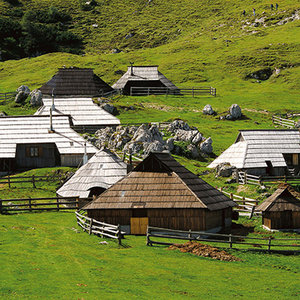 Velika Planina