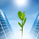 Jak zadbać o środowisko?