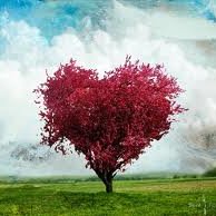 Kocham siebie jakim jestem i kocham innych