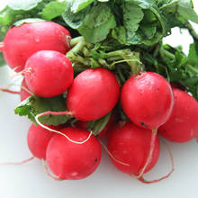 Jakie właściwości ma rzodkiewka?