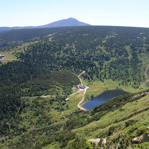 Śnieżka