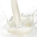 Zalety picia koziego mleka