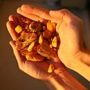 W jaki sposób czyścić bursztyn?