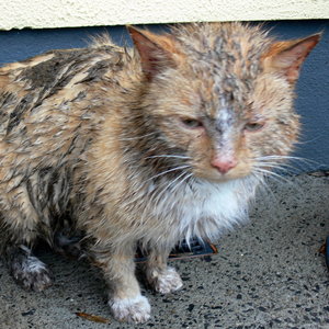 Kiedy kąpiel jest wskazana