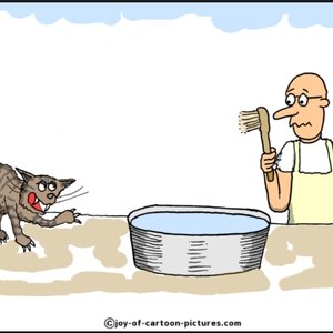 Przygotowanie się do kąpieli kota