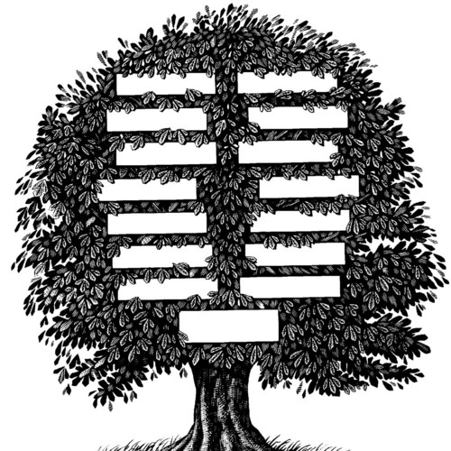 Zasady tworzenia drzewa genealogicznego
