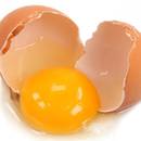 Odżywcze właściwości jaj