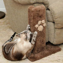 Czasem pomaga mały podstęp