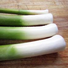 Zalety odżywcze i lecznicze pora