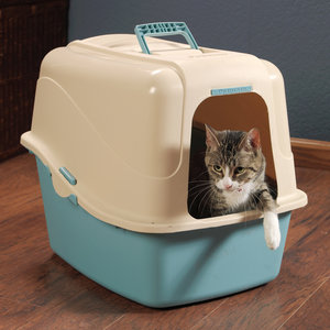 Kuweta i czystość w domu