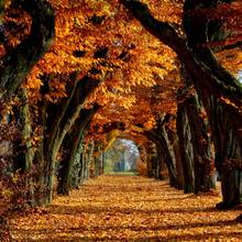 Jak spędzić z rodziną dzień jesienią?
