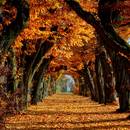 Jak spędzić z rodziną dzień jesienią?