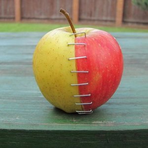 Nie ma dwóch idealnych połówek