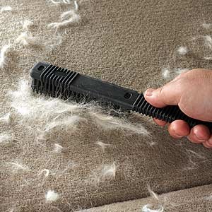 Szczotki i zgrzebła