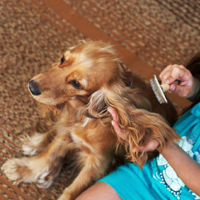 Zacznij od profilaktyki