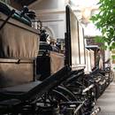 Co można zobaczyć w Łańcucie?