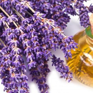 Masaż olejkiem lawendowym