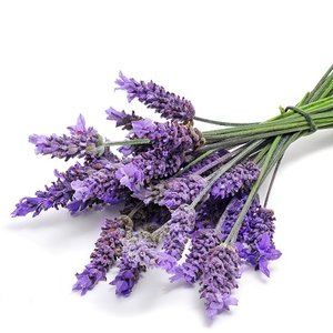 Maseczka lawendowo-miodowa