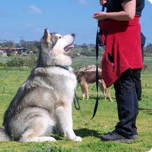 Wprowadzaj zasady od początku