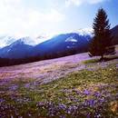 Co warto zobaczyć w Gminie Lutowiska?