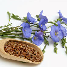 Kuracja siemieniem lnianym – wskazówki i porady