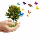 Jak celebrować Dzień Ziemi?