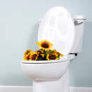 Jak posprzątać łazienkę, wykorzystując domowe sposoby?