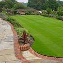 Jak zadbać o swój trawnik?