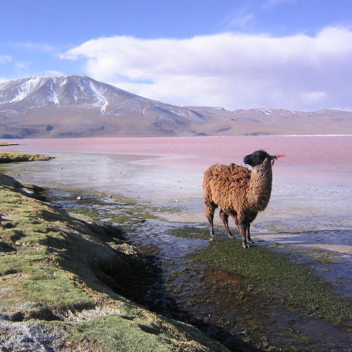 Co warto zobaczyć w Boliwii?