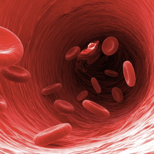 Ciśnienie i poziom cholesterolu
