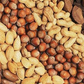 Orzechy i pestki