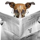 Jak napisać dobry i ciekawy artykuł?