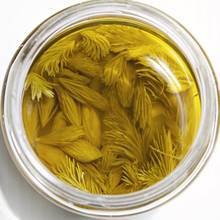 Zastosowanie olejku pichtowego